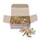 0.5" Brass Plated Paper Fasteners, 20 Boxes